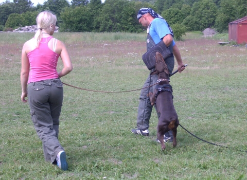 Training in Estonia 6/2007